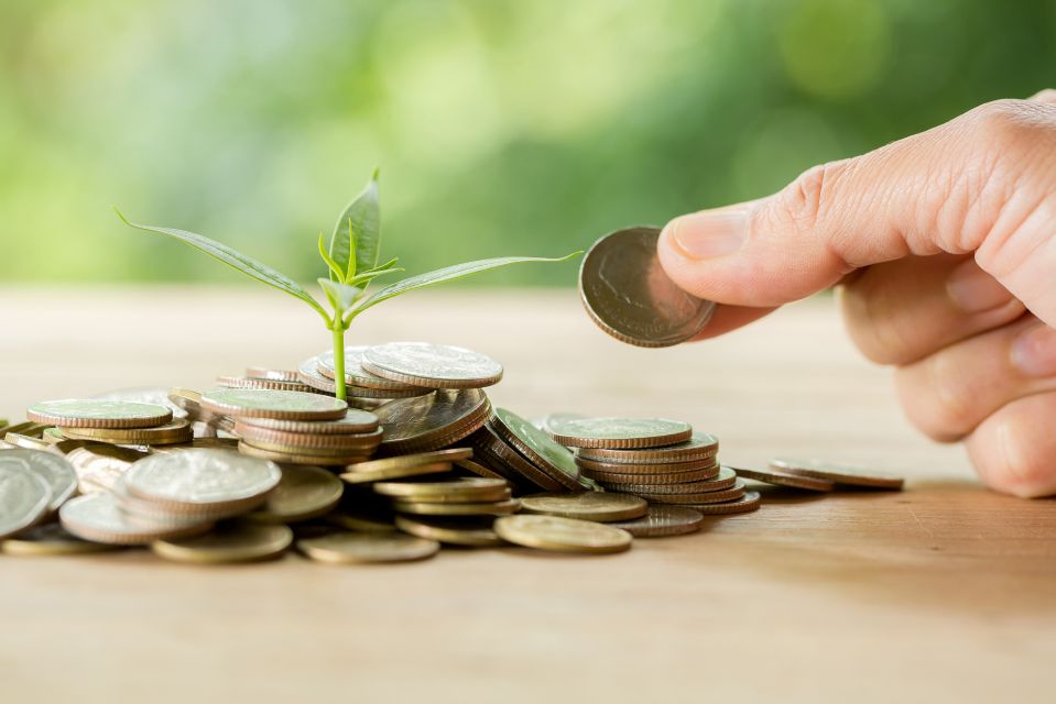 Senior insurance assistance